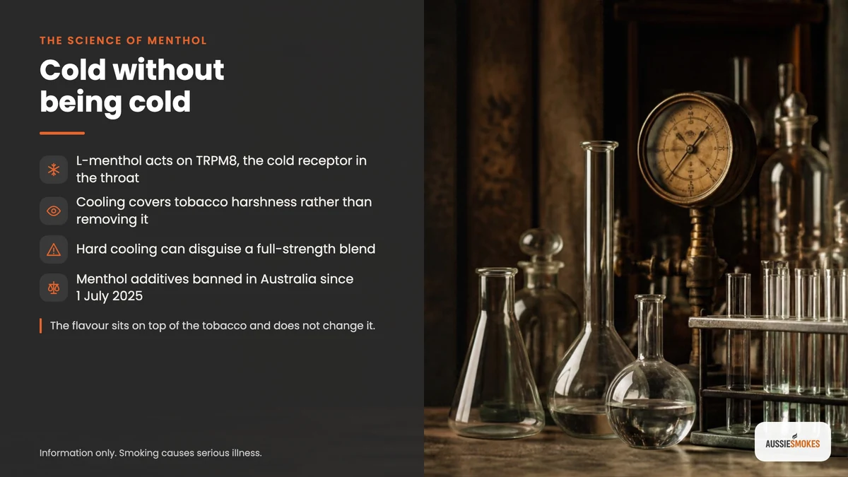 How menthol acts on the TRPM8 cold receptor, banned in Australia from July 2025